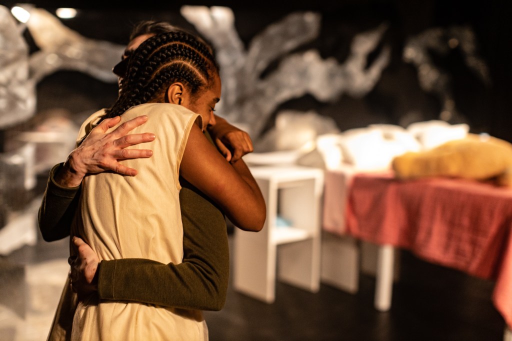 Casa com árvores&nbsp;dentro